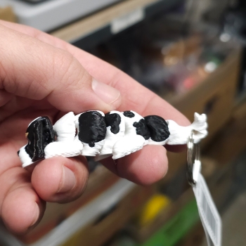 Cavalier tricolor - brelok do kluczy